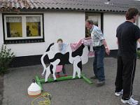 IMG 0481