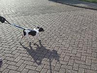IMG-20161123-WA0007-001