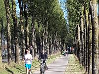 IMG-20181015-WA0061