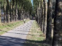 IMG-20181015-WA0075