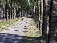 IMG-20181015-WA0076