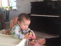 IMG-20200126-WA0017