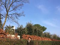 IMG-20200126-WA0105