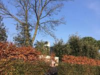 IMG-20200126-WA0110