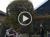 VID-20221023-WA0050