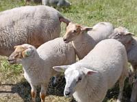 IMG-20230604-WA0043
