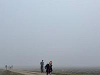 IMG-20241103-WA0009