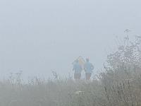 IMG-20241103-WA0011